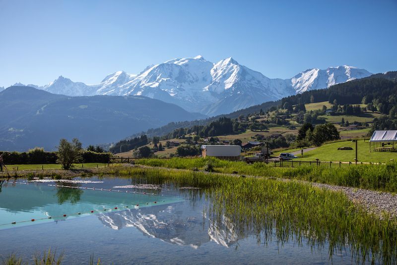Plan d'eau Biotope
